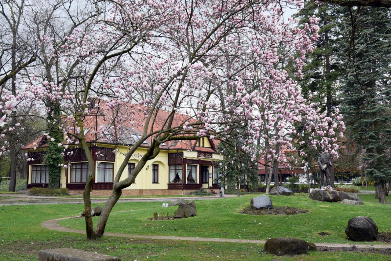 Villa Hotel Дебрецен Экстерьер фото
