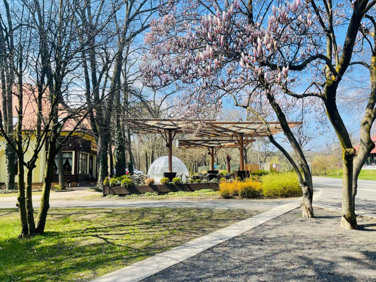 Villa Hotel Дебрецен Экстерьер фото