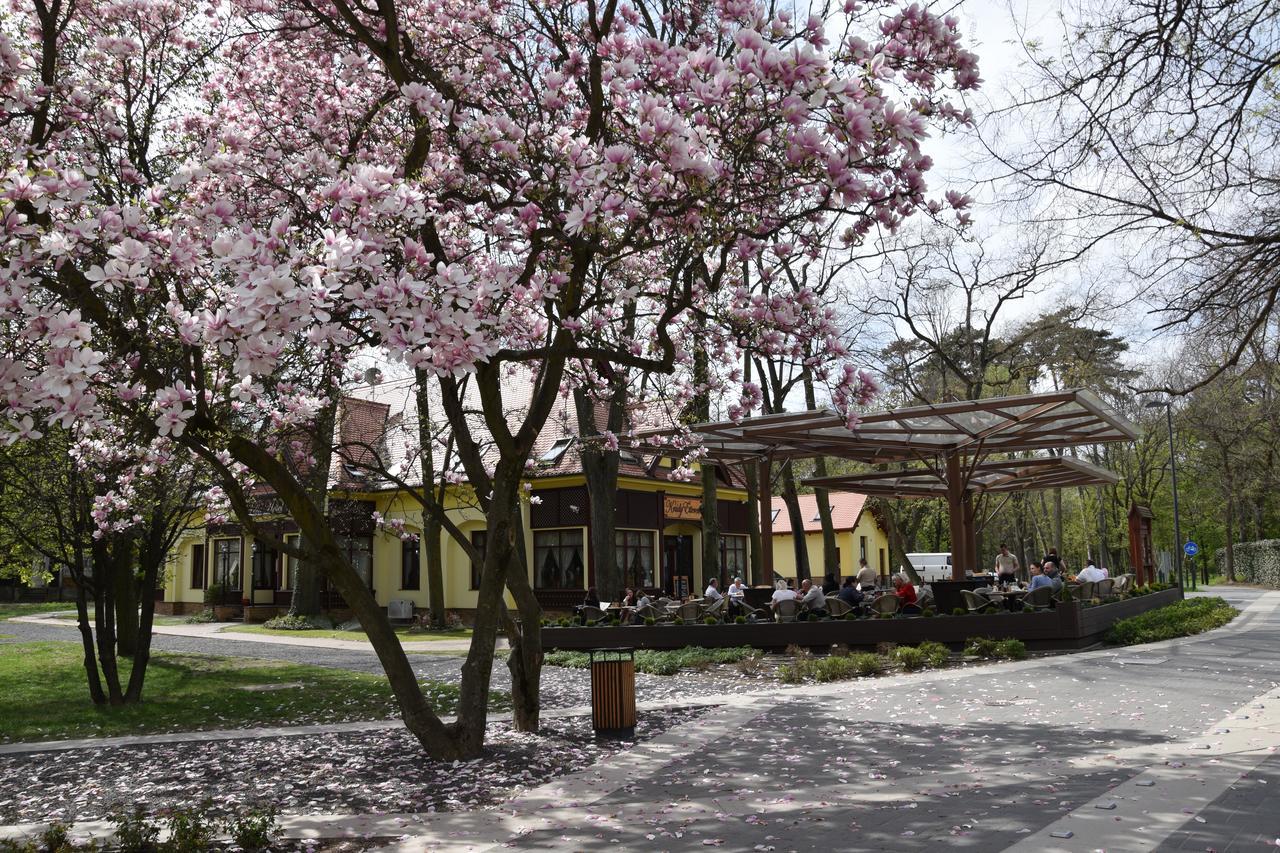 Villa Hotel Дебрецен Экстерьер фото